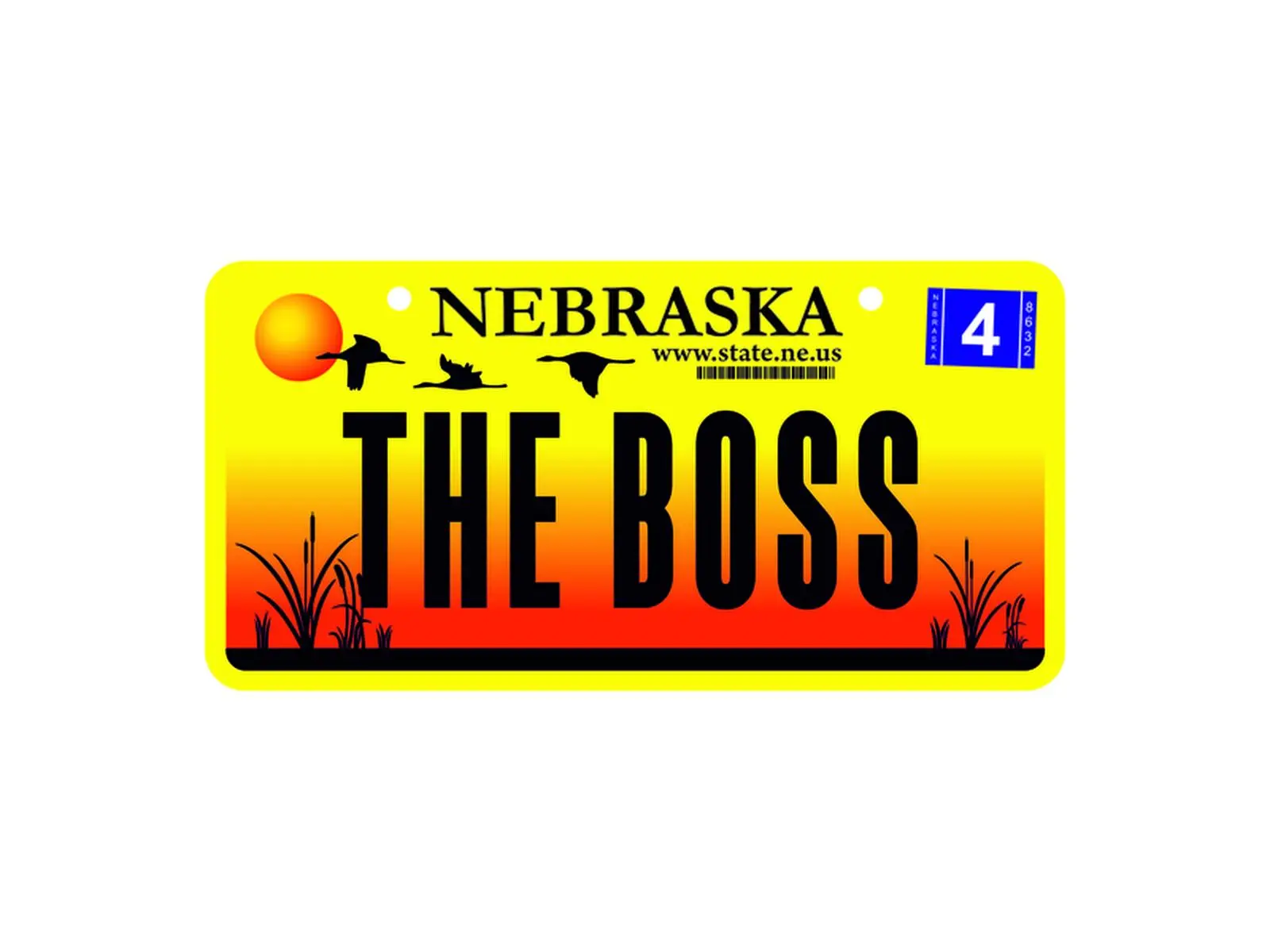 USA Kennzeichen m. Namen 008 THE BOSS